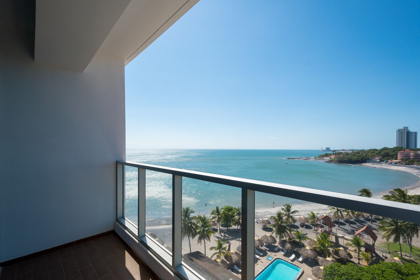 Royal Palm 5